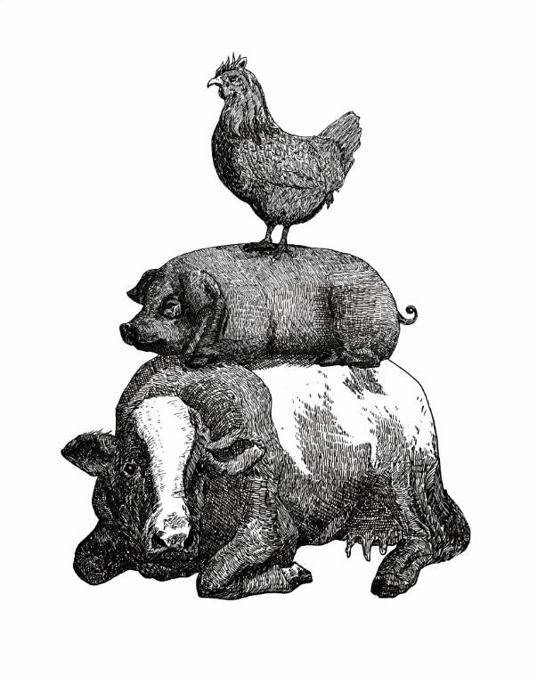 Precarious Pyramid of Pets